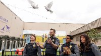 Animal Control